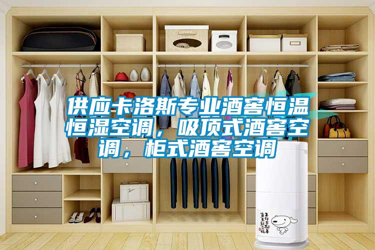 供應卡洛斯專業酒窖恒溫恒濕空調，吸頂式酒窖空調，柜式酒窖空調