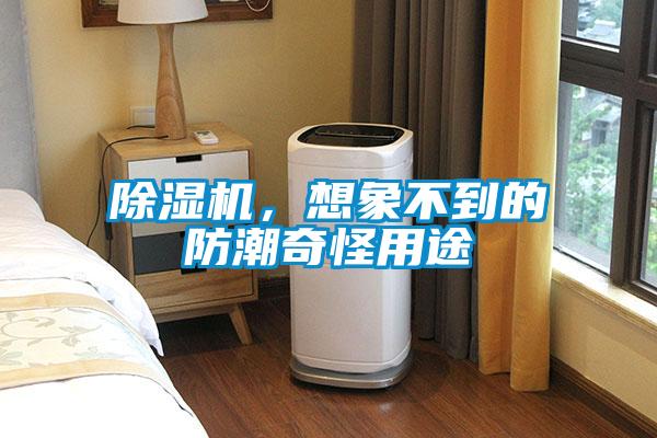 除濕機，想象不到的防潮奇怪用途