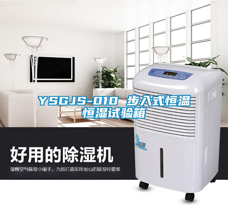 YSGJS-010 步入式恒溫恒濕試驗(yàn)箱