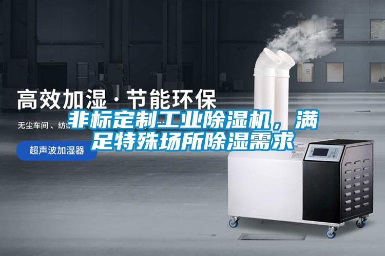 非標(biāo)定制工業(yè)除濕機(jī)，滿足特殊場所除濕需求