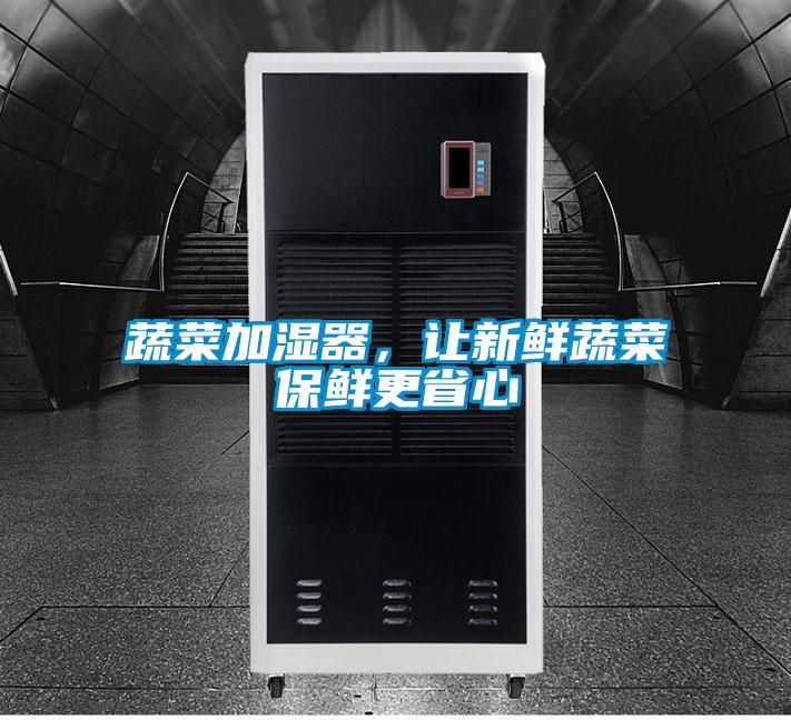 蔬菜加濕器，讓新鮮蔬菜保鮮更省心