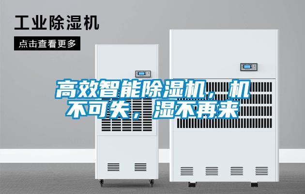 高效智能除濕機，機不可失，濕不再來