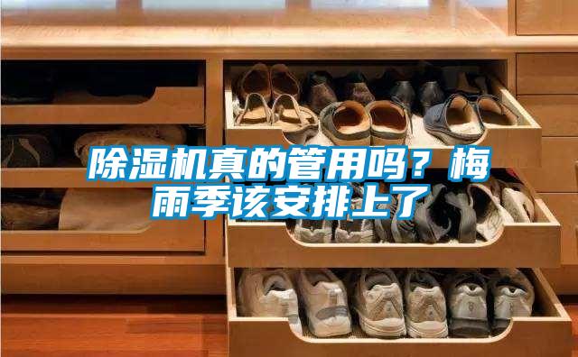 除濕機真的管用嗎？梅雨季該安排上了