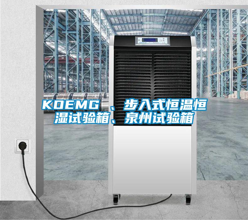 KOEMG 、步入式恒溫恒濕試驗箱、泉州試驗箱