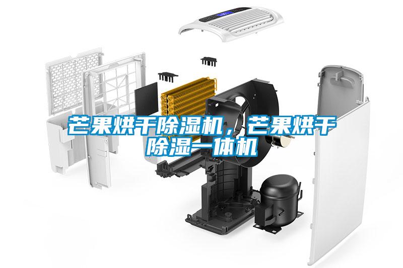 芒果烘干除濕機，芒果烘干除濕一體機