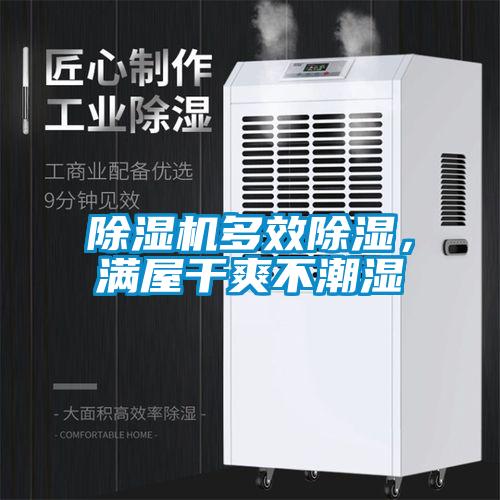 除濕機多效除濕，滿屋干爽不潮濕
