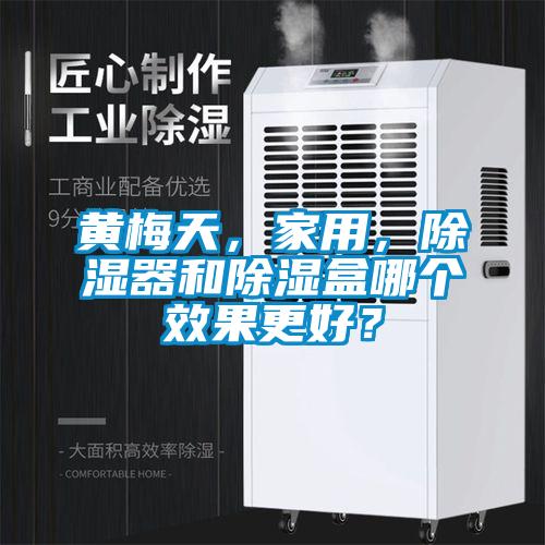 黃梅天，家用，除濕器和除濕盒哪個效果更好？