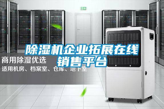 除濕機(jī)企業(yè)拓展在線銷售平臺(tái)