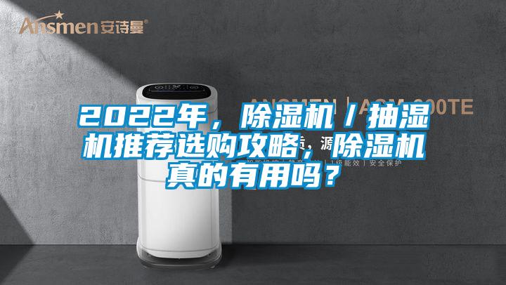 2022年，除濕機／抽濕機推薦選購攻略，除濕機真的有用嗎？