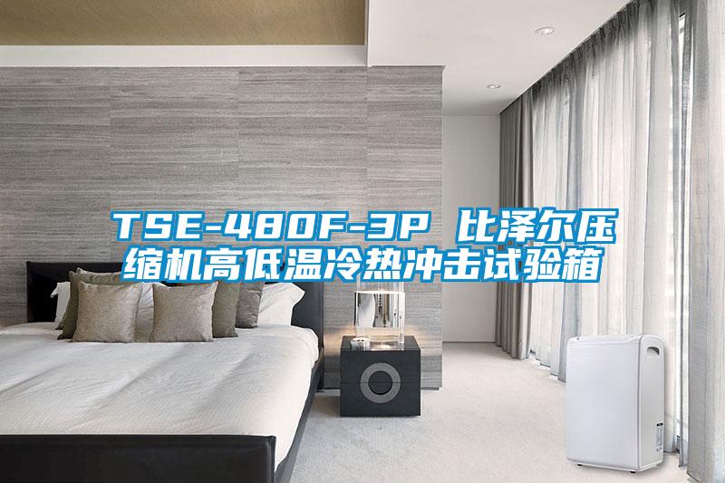 TSE-480F-3P 比澤爾壓縮機(jī)高低溫冷熱沖擊試驗(yàn)箱