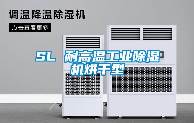 SL 耐高溫工業(yè)除濕機烘干型