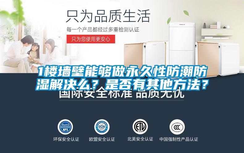 1樓墻壁能夠做永久性防潮防濕解決么？是否有其他方法？