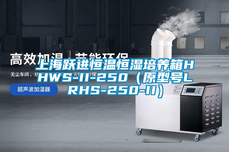 上海躍進恒溫恒濕培養箱HHWS-II-250（原型號LRHS-250-II）