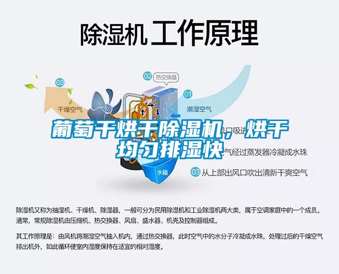 葡萄干烘干除濕機(jī)，烘干均勻排濕快