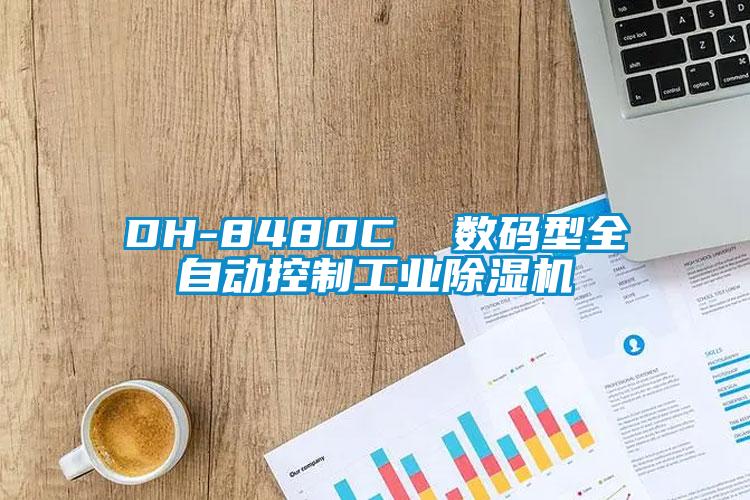 DH-8480C  數碼型全自動控制工業除濕機