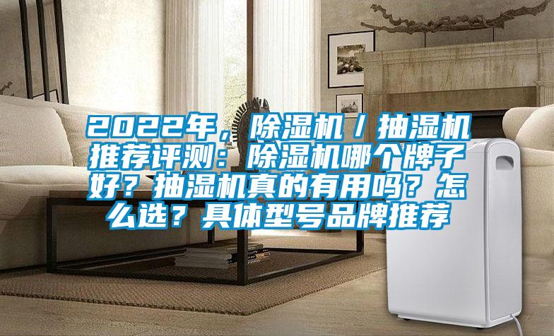 2022年，除濕機／抽濕機推薦評測：除濕機哪個牌子好？抽濕機真的有用嗎？怎么選？具體型號品牌推薦