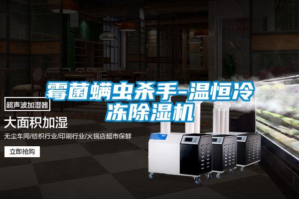 霉菌螨蟲殺手-溫恒冷凍除濕機