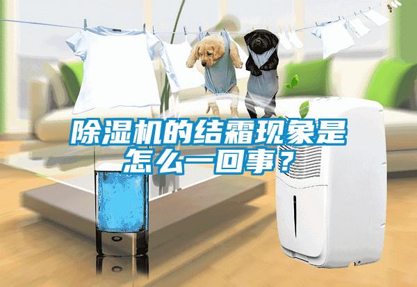 除濕機的結霜現象是怎么一回事？