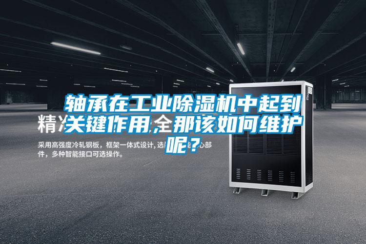 軸承在工業(yè)除濕機(jī)中起到關(guān)鍵作用，那該如何維護(hù)呢？