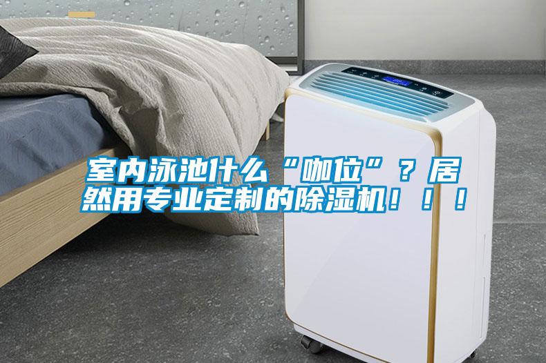 室內泳池什么“咖位”？居然用專業定制的除濕機！！！