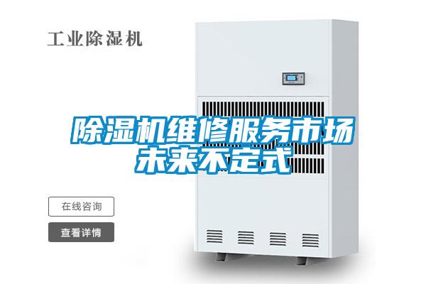 除濕機維修服務市場未來不定式