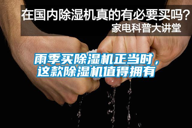 雨季買除濕機(jī)正當(dāng)時(shí)，這款除濕機(jī)值得擁有