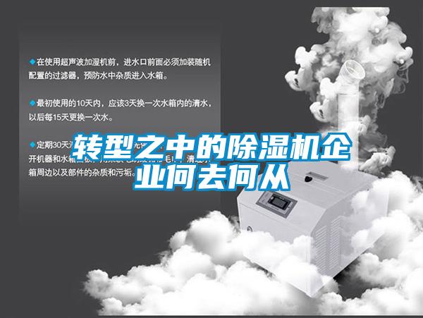 轉型之中的除濕機企業何去何從