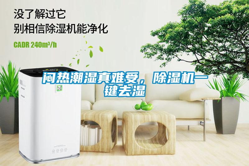 悶熱潮濕真難受，除濕機一鍵去濕