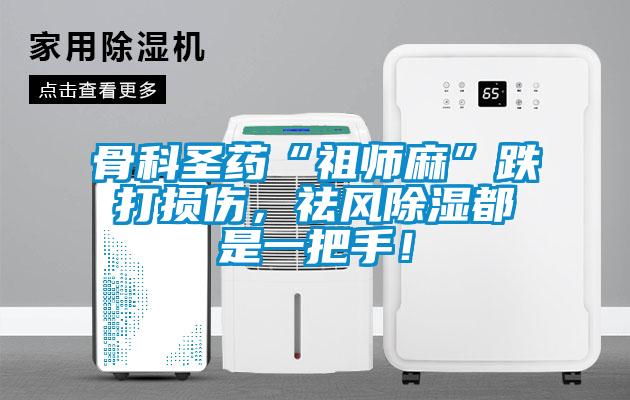 骨科圣藥“祖師麻”跌打損傷，祛風除濕都是一把手！