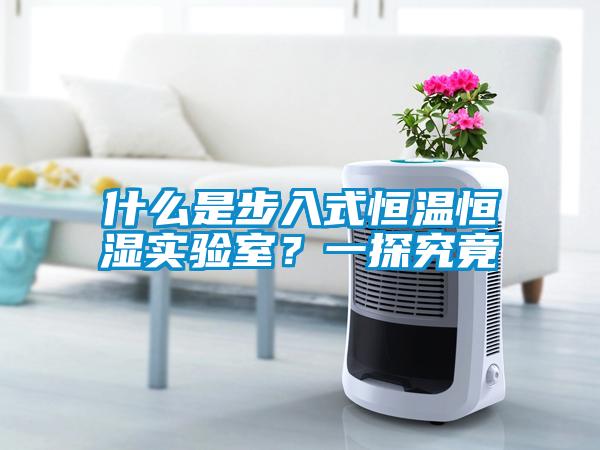 什么是步入式恒溫恒濕實(shí)驗(yàn)室？一探究竟