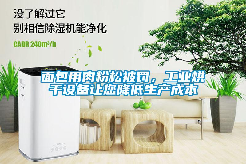 面包用肉粉松被罰，工業(yè)烘干設(shè)備讓您降低生產(chǎn)成本