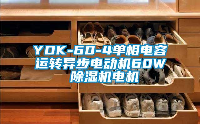 YDK-60-4單相電容運(yùn)轉(zhuǎn)異步電動機(jī)60W 除濕機(jī)電機(jī)