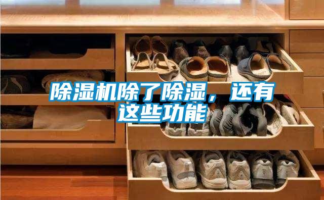 除濕機除了除濕，還有這些功能