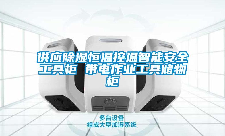 供應除濕恒溫控溫智能安全工具柜 帶電作業工具儲物柜