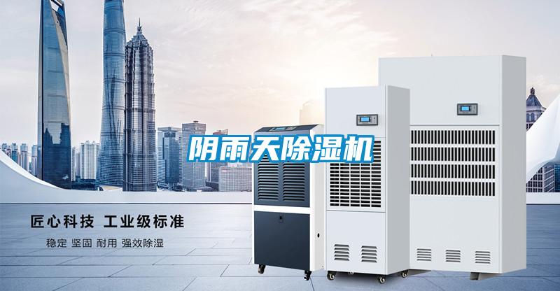 陰雨天除濕機