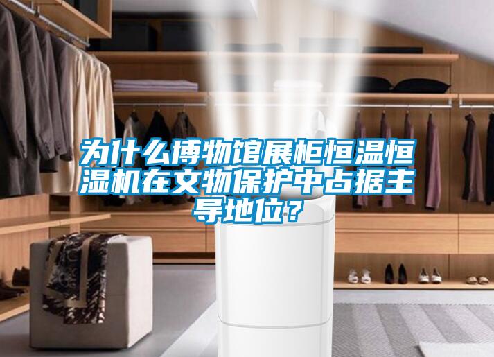 為什么博物館展柜恒溫恒濕機在文物保護中占據主導地位？