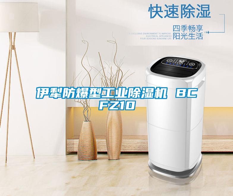 伊犁防爆型工業除濕機 BCFZ10