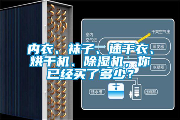 內衣、襪子、速干衣、烘干機、除濕機，你已經買了多少？