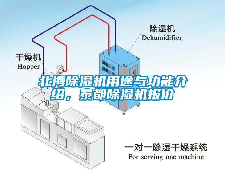 北海除濕機用途與功能介紹，泰都除濕機報價