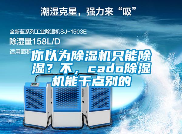 你以為除濕機只能除濕？不，cado除濕機能干點別的
