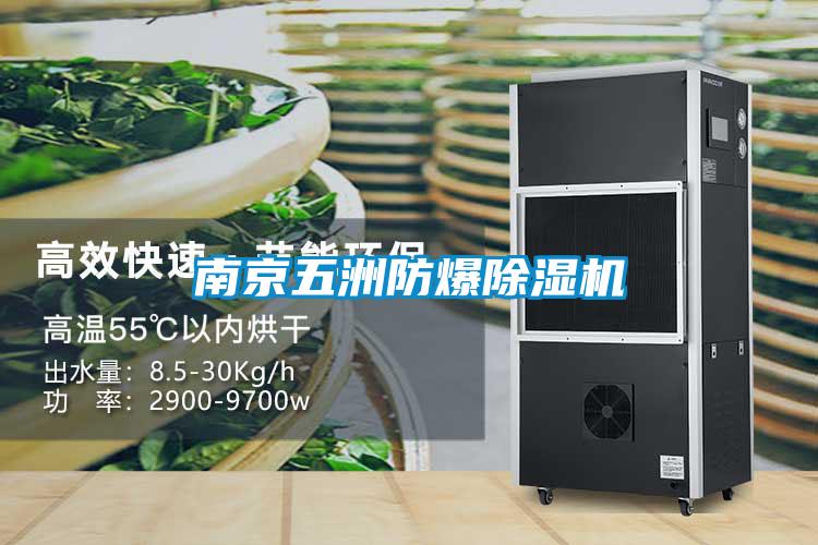 南京五洲防爆除濕機