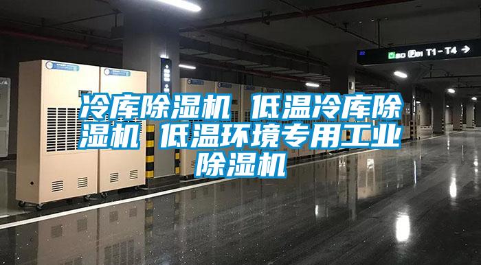 冷庫(kù)除濕機(jī) 低溫冷庫(kù)除濕機(jī) 低溫環(huán)境專用工業(yè)除濕機(jī)