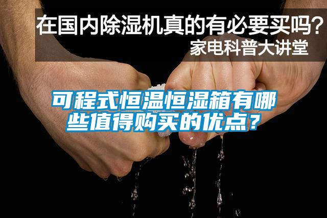 可程式恒溫恒濕箱有哪些值得購買的優點？