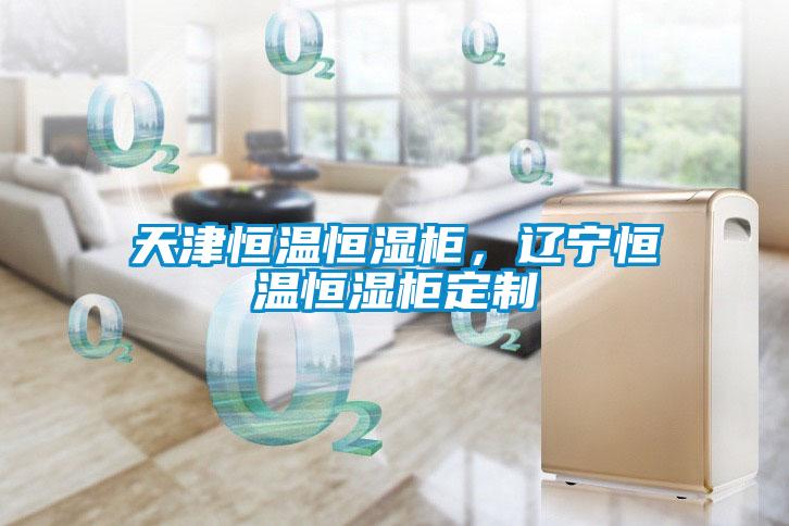 天津恒溫恒濕柜，遼寧恒溫恒濕柜定制