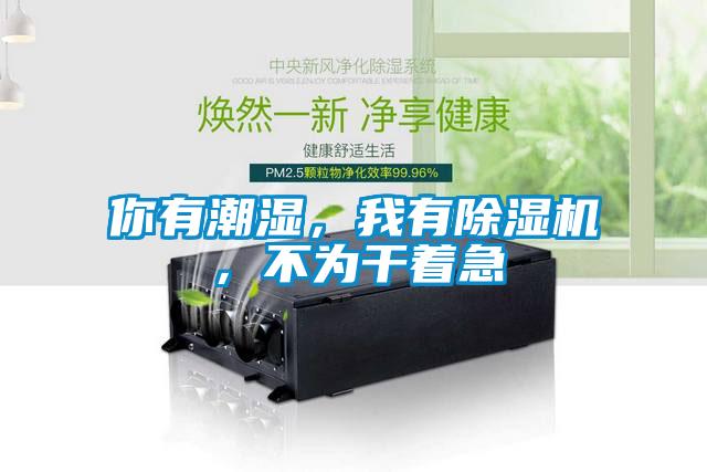 你有潮濕，我有除濕機，不為干著急