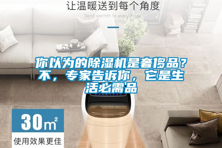 你以為的除濕機是奢侈品？不，專家告訴你，它是生活必需品