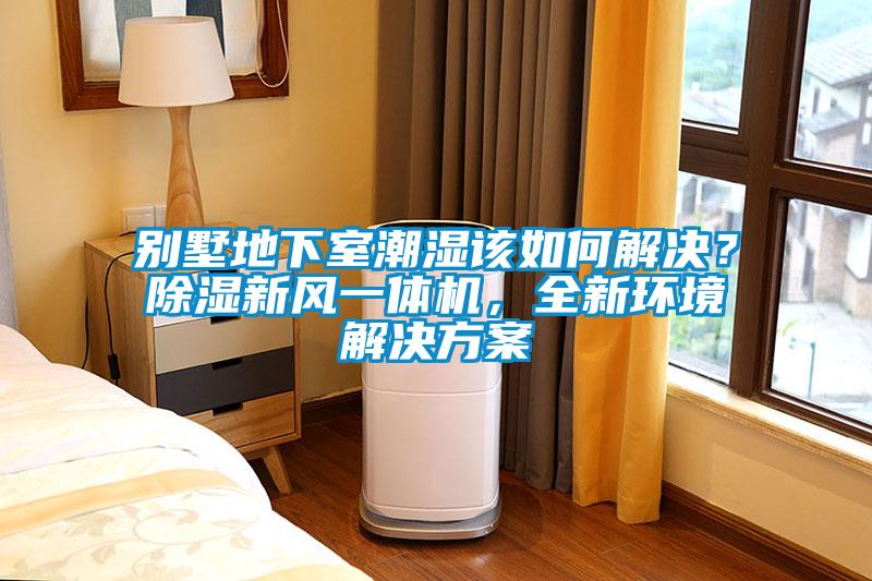 別墅地下室潮濕該如何解決？除濕新風一體機，全新環境解決方案