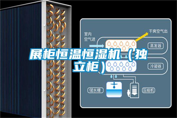 展柜恒溫恒濕機(jī)（獨(dú)立柜）