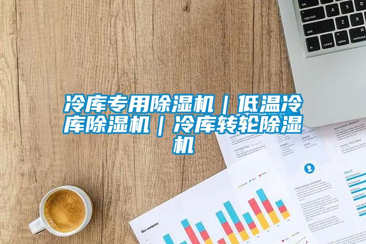 冷庫專用除濕機(jī)｜低溫冷庫除濕機(jī)｜冷庫轉(zhuǎn)輪除濕機(jī)