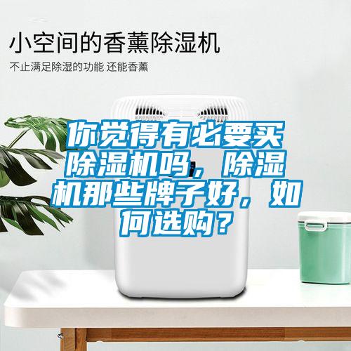 你覺得有必要買除濕機嗎，除濕機那些牌子好，如何選購？